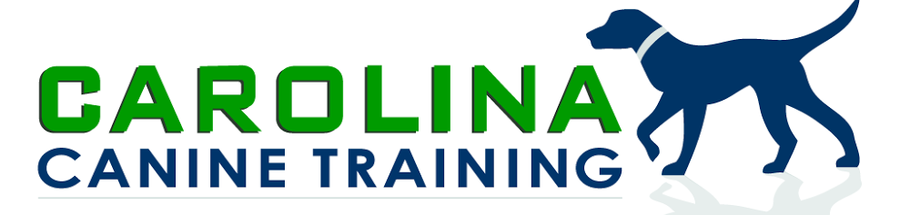 Carolina Canine Training
