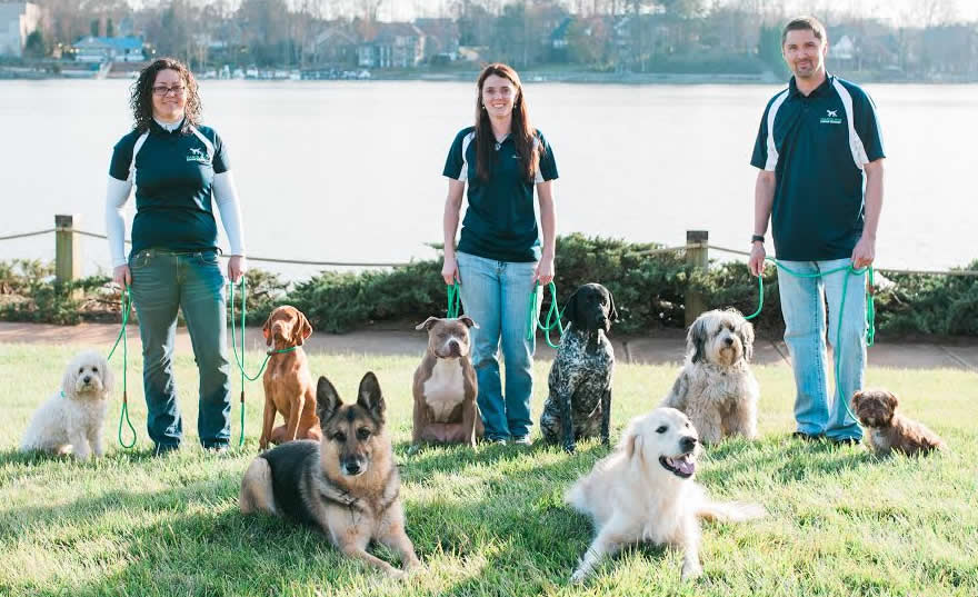 carolina canine trainers